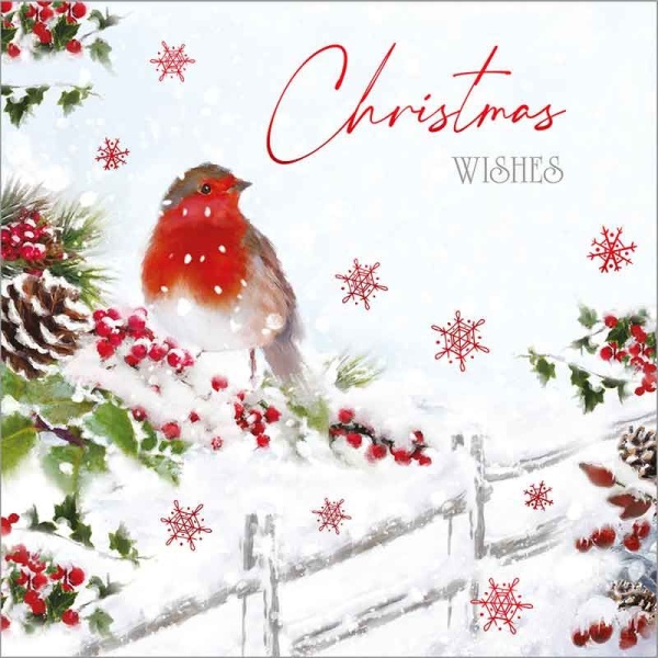 Winter Visit Christmas Cards Pack Of 24