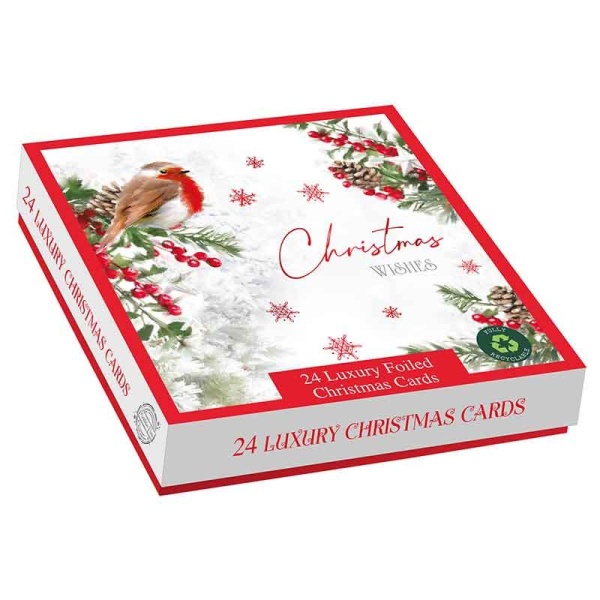 Winter Visit Christmas Cards Pack Of 24