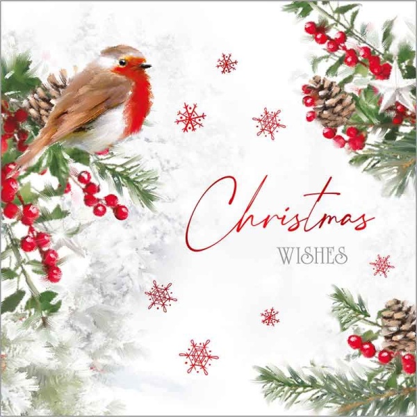 Winter Visit Christmas Cards Pack Of 24