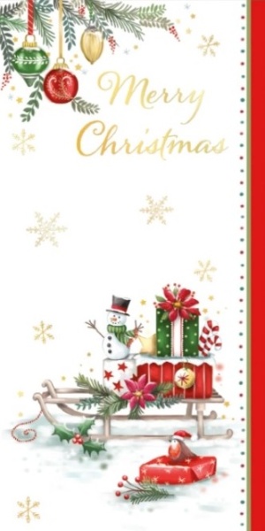 Festive Sledge Christmas Money Wallet Card