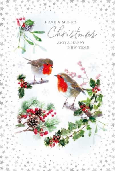 Two Robins Christmas Card