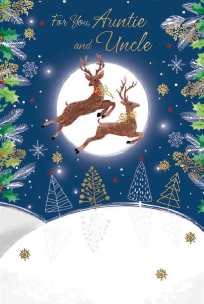 Reindeer Auntie & Uncle Christmas Card