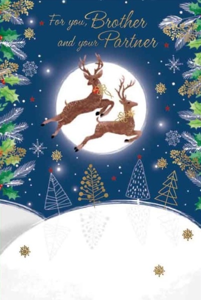 Reindeer Brother & Partner Christmas Card