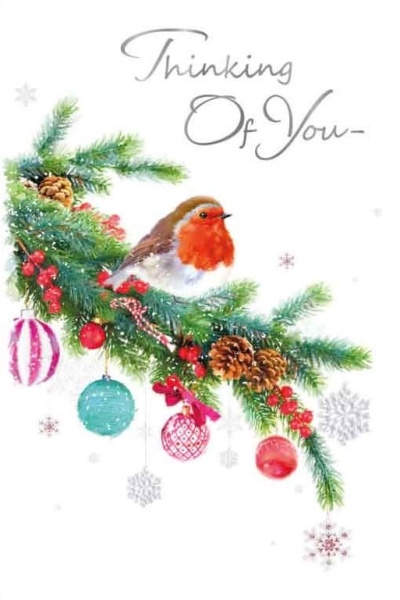 Christmas Robin Thinking Of You Card