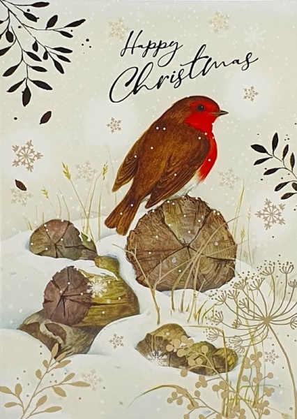 Robins Christmas Cards Pack Of 14