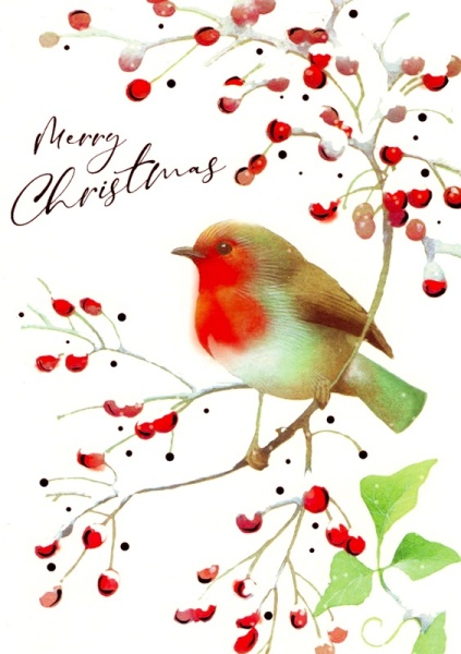 Robins Christmas Cards Pack Of 14