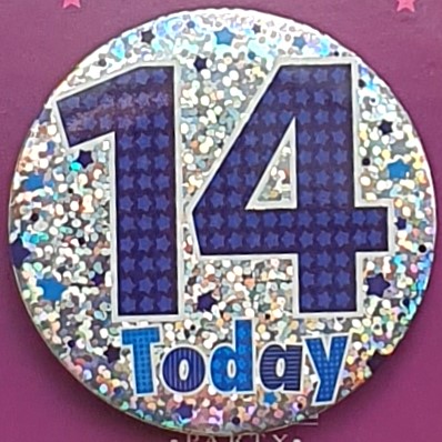 Stars Age 14 Birthday Badge