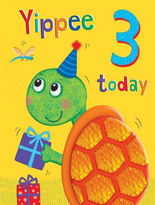 Tortoise 3rd Birthday Card