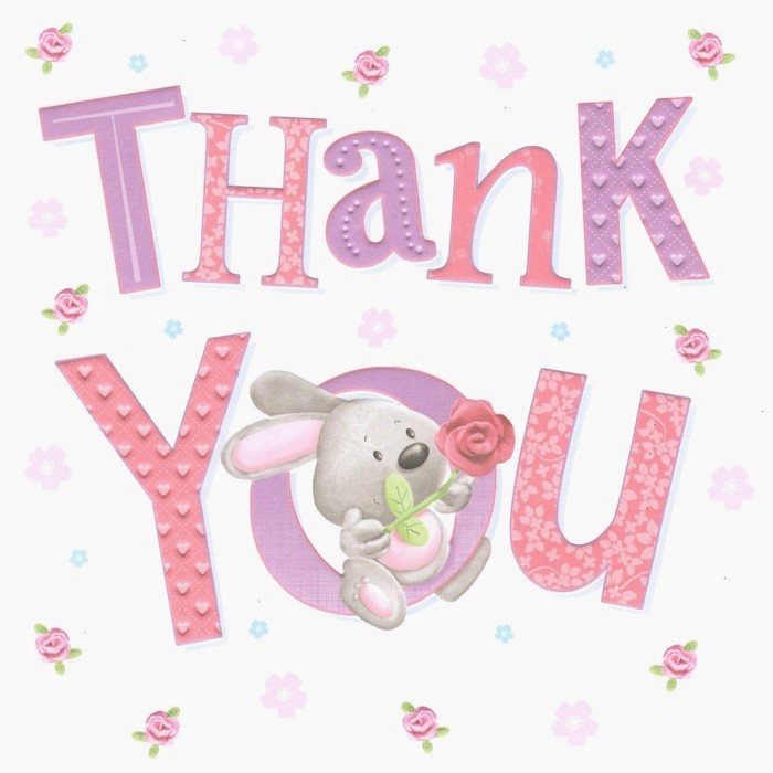 Pink Rose Thank You Cards Pack of 6