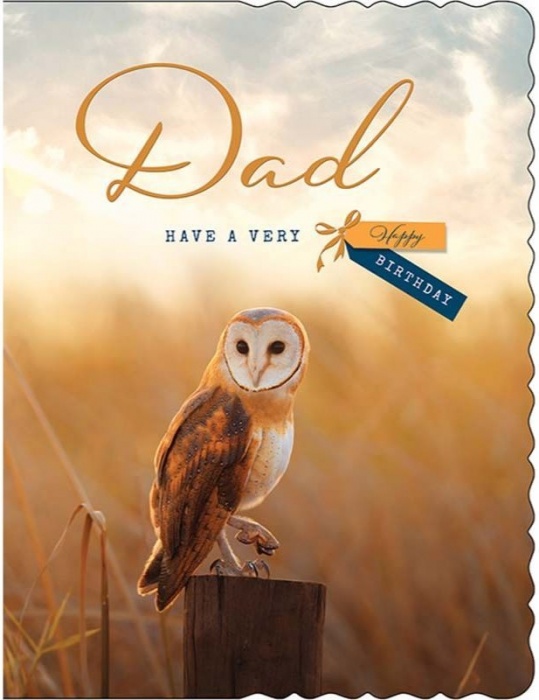 Owl Dad Birthday Card