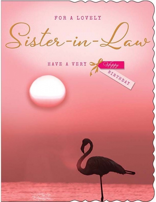 Flamingo Sister In Law Birthday Card
