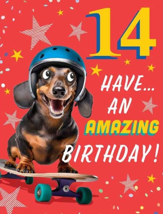 Skateboard Dog 14th Birthday Card