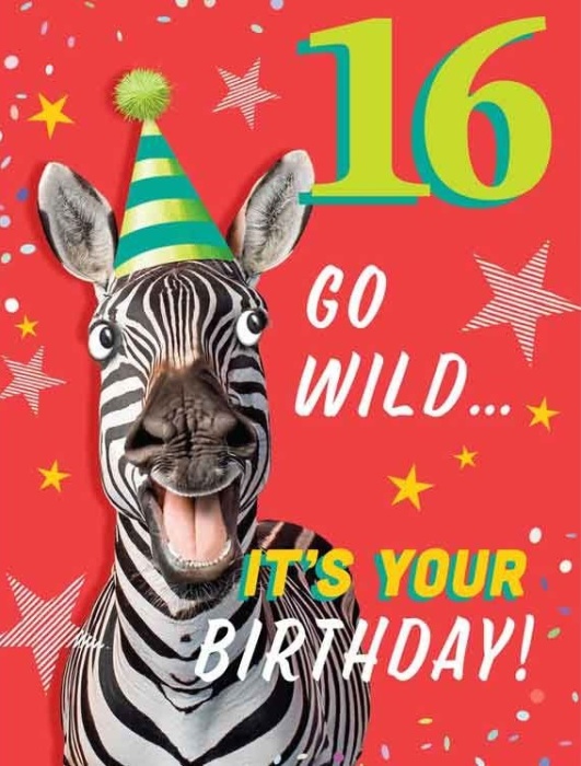 Party Zebra 16th Birthday Card