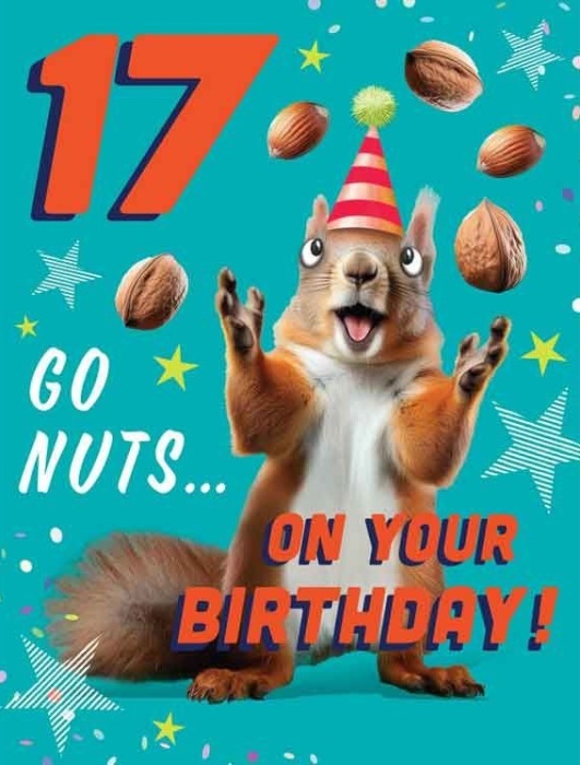 Nuts Squirrel 17th Birthday Card