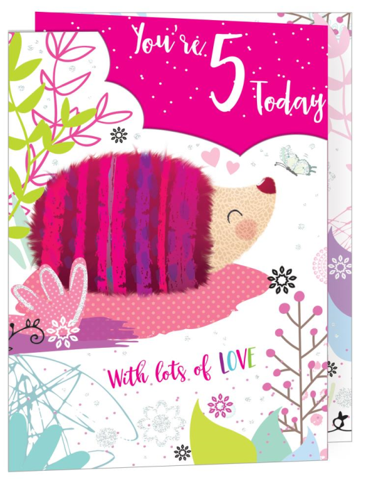 Hedgehog 5th Birthday Card