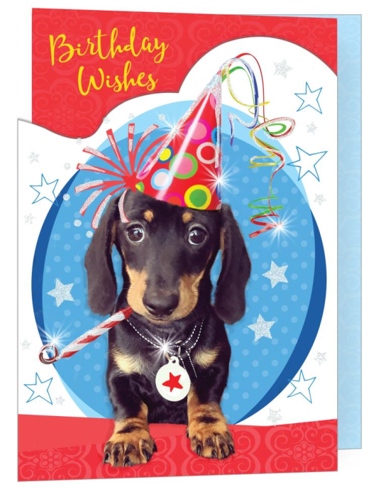 Birthday Dog Birthday Card