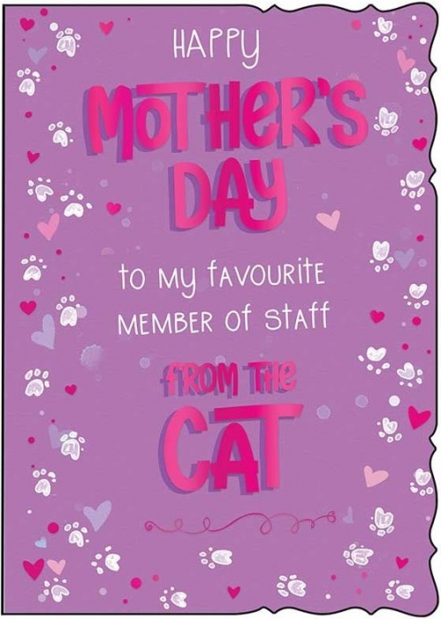 My Favourite Member Of Staff Mother's Day Card