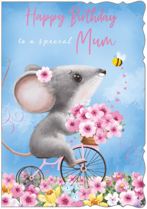 Bike Ride Mum Birthday Card