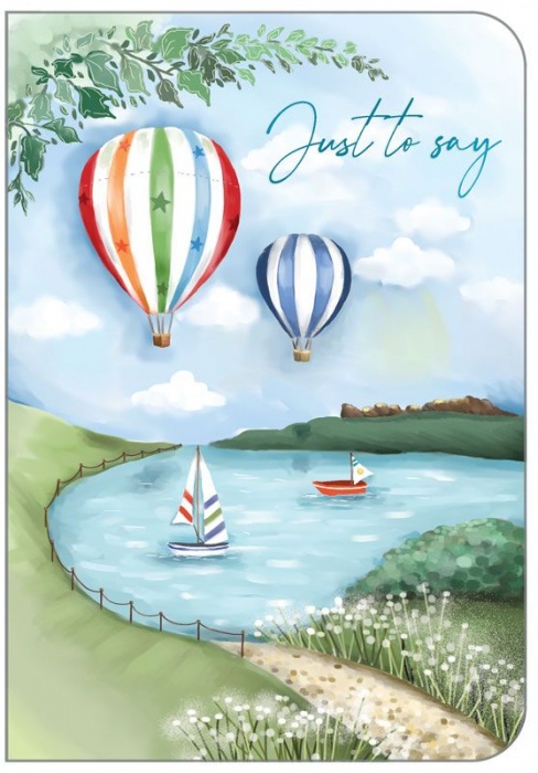 Air Balloons Just To Say Card