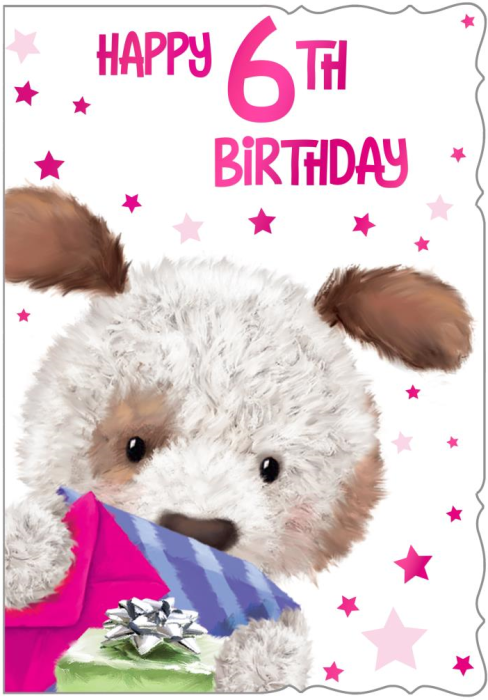 Dog Teddy 6th Birthday Card