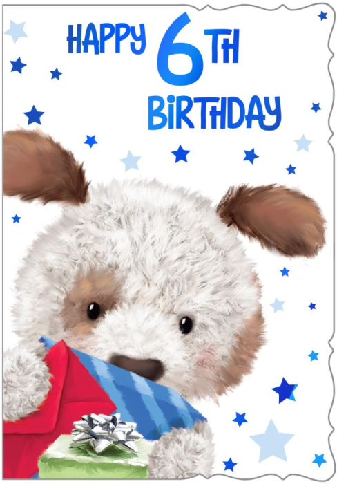 Dog Teddy 6th Birthday Card