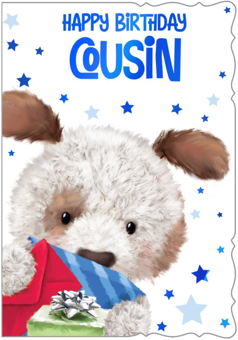 Dog Teddy Cousin Birthday Card