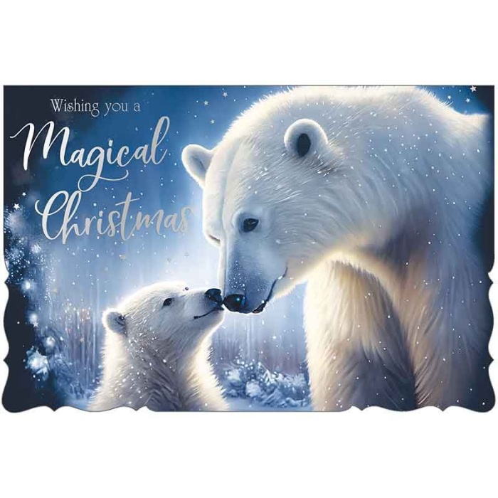 Arctic Bears Christmas Cards Pack Of 12