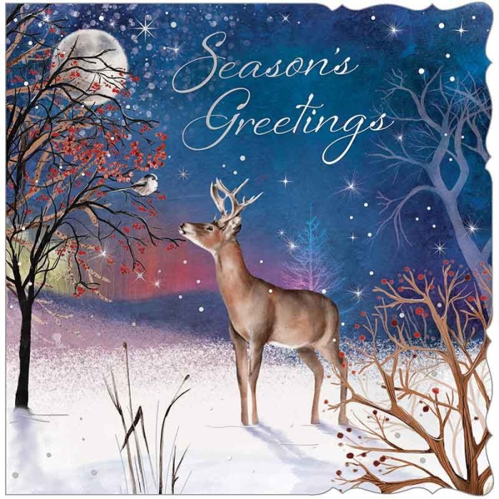 A Winter's Night Christmas Cards Pack Of 12