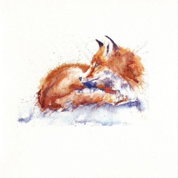 Fox Greeting Card