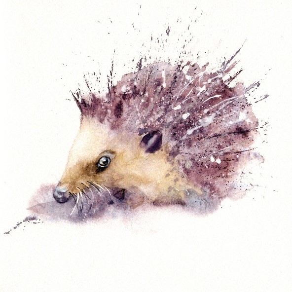 Hedgehog Greeting Card