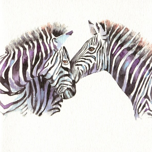 Zebras Greeting Card