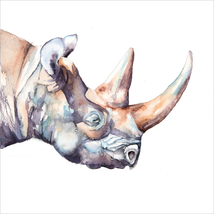 Rhino Greeting Card