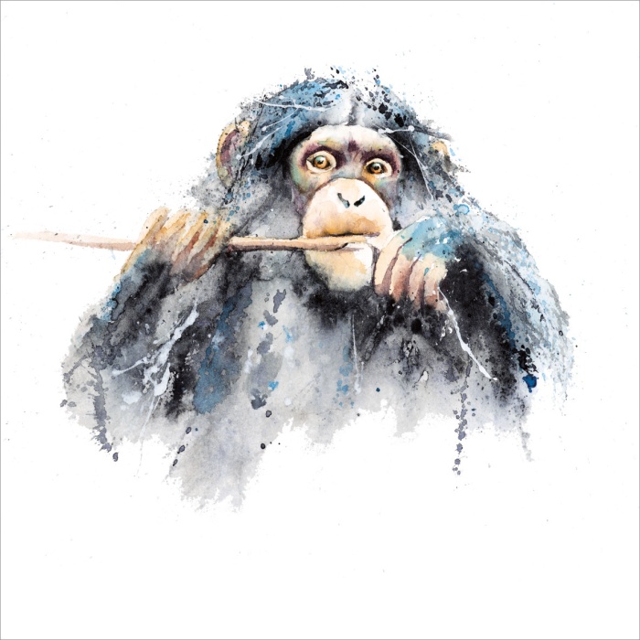 Chimp Greeting Card