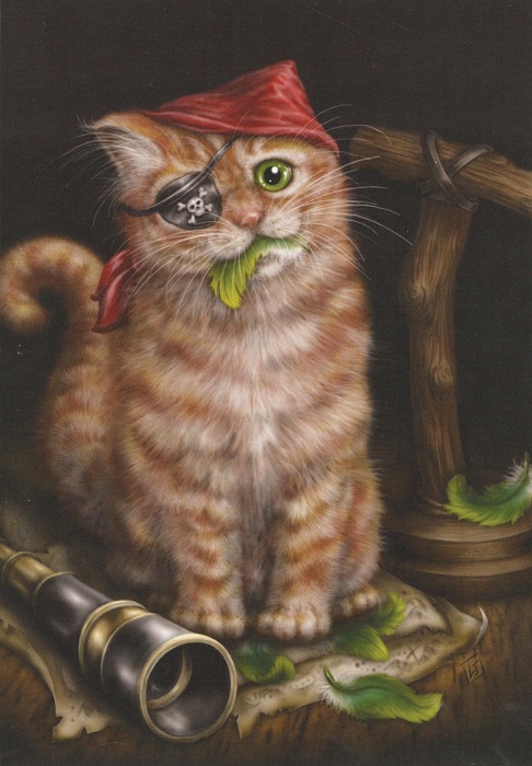 Pirate Kitten Greeting Card