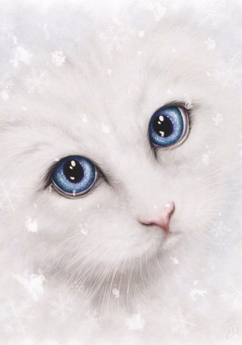 Winter Cat Greeting Card