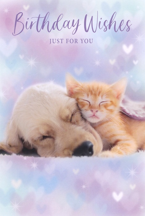 Dog & Kitten Birthday Card