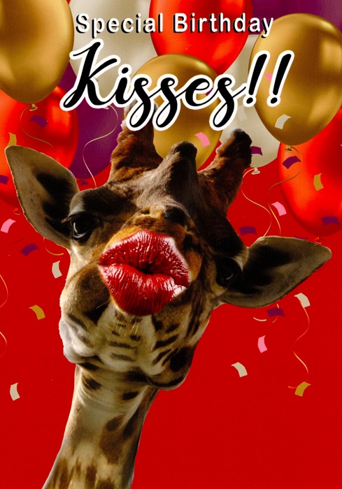 Special Birthday Kisses Birthday Card