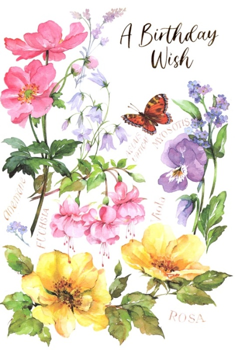 Anemone & Rose Birthday Card