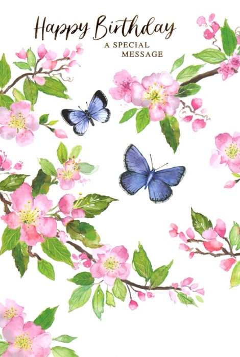 Butterflies & Blossoms Birthday Card