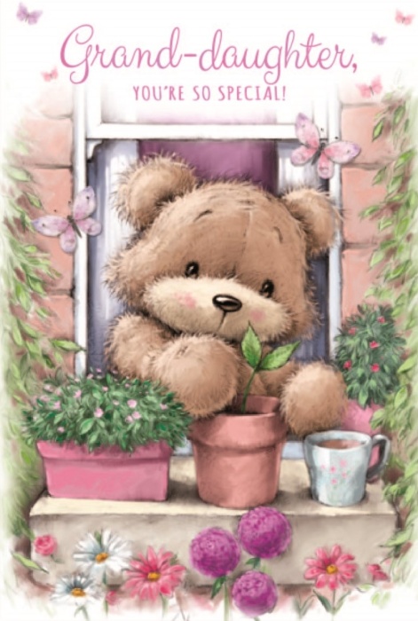 Window Garden Grand-Daughter Birthday Card