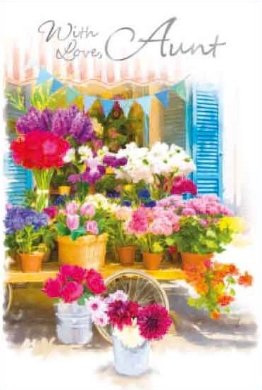 Flower Pots Aunt Birthday Card