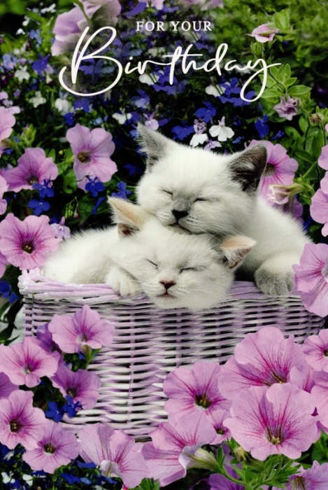 Flowers & Kittens Birthday Card