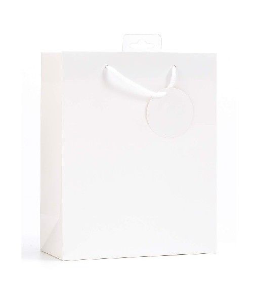 White Gift Bag