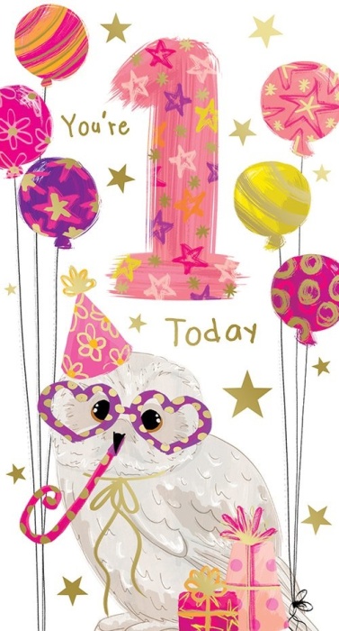 Birthday Owl 1st Birthday Card