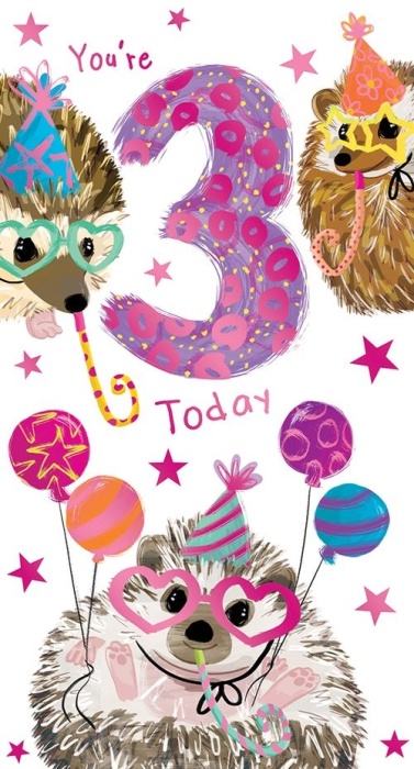 Hedgehogs 3rd Birthday Card