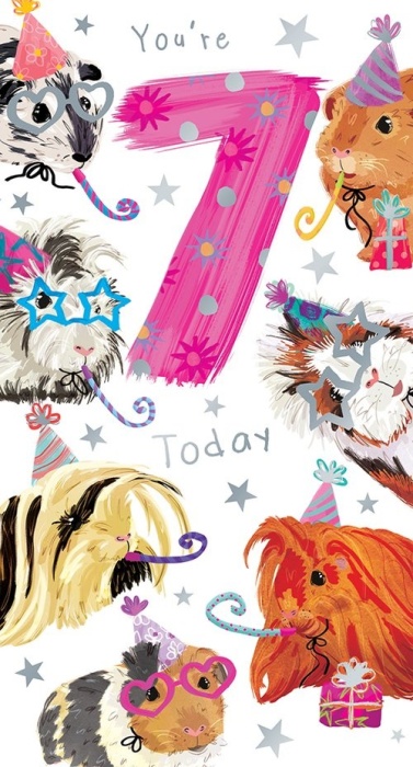 Guinea Pigs 7th Birthday Card