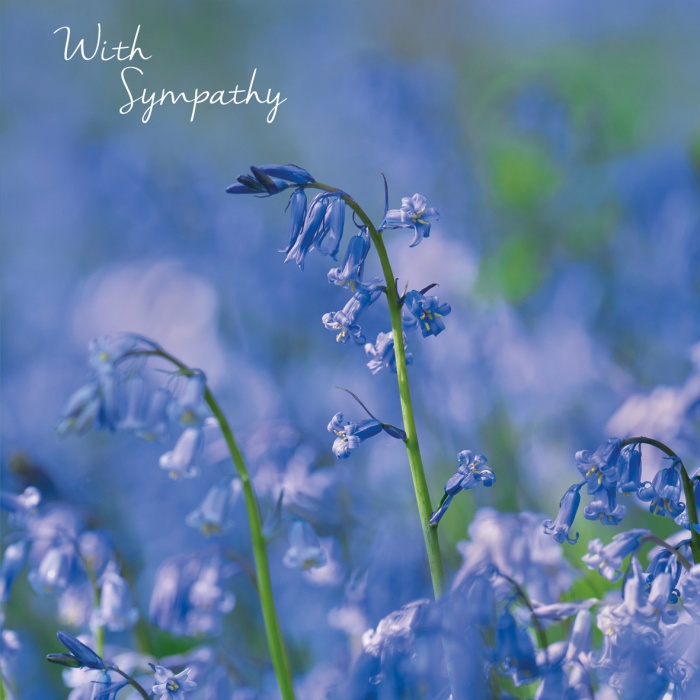 Bluebell Haze Sympathy Card