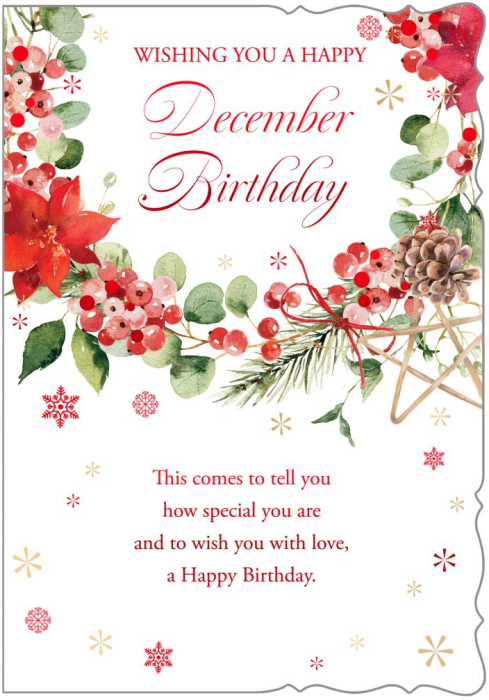 Red Winter Berries December Birthday Card