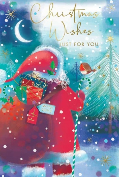 Father Christmas Christmas Card