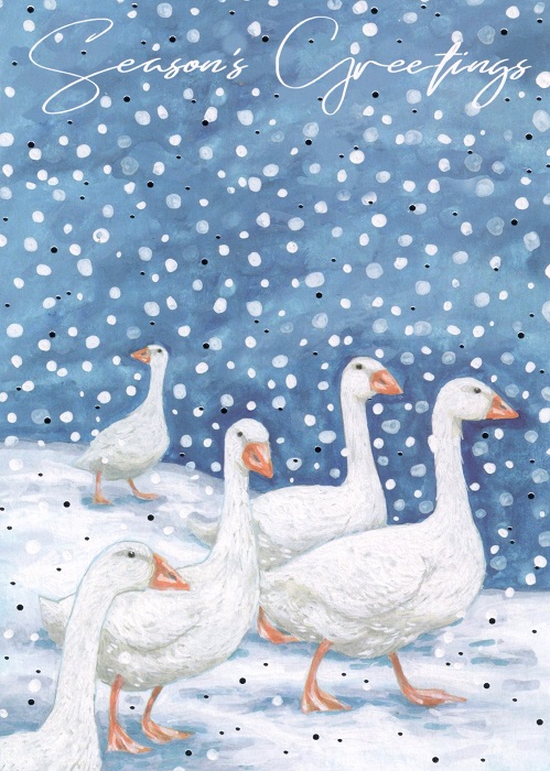 Geese Robin Christmas Cards Pack Of Simon Elvin